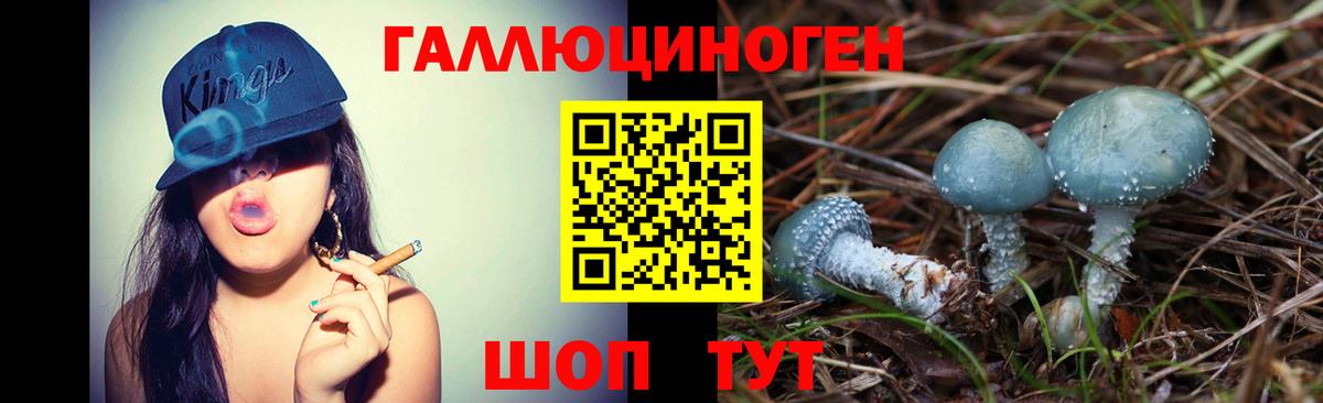 Псилоцибиновые грибы Cubensis  Галлюциногенные грибы мицелий  магазин продажи наркотиков  Вход с VPN  Гагарин 